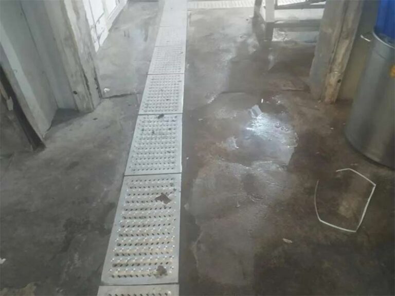 Difetti del pavimento della lavorazione del pesce Danni da umidità