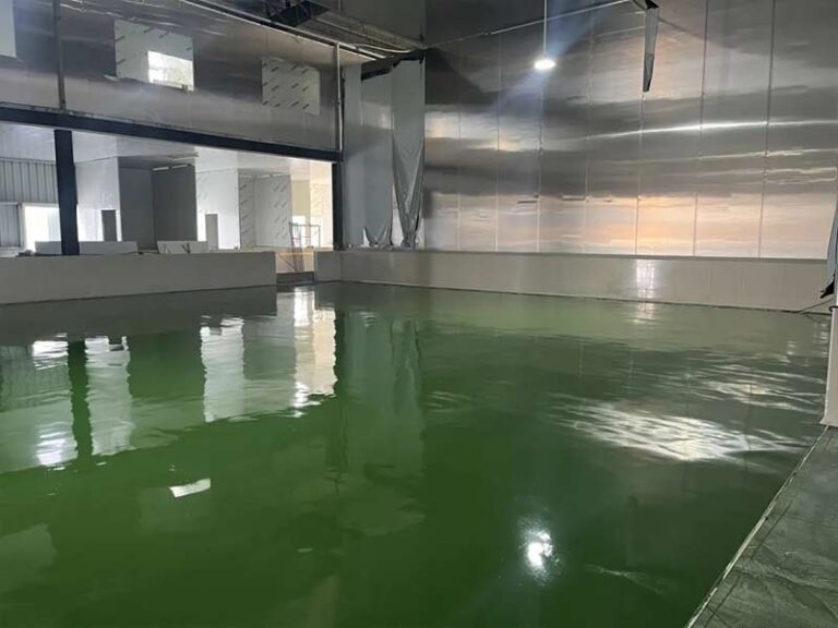 Pavimentazione per frutti di mare Superficie finita