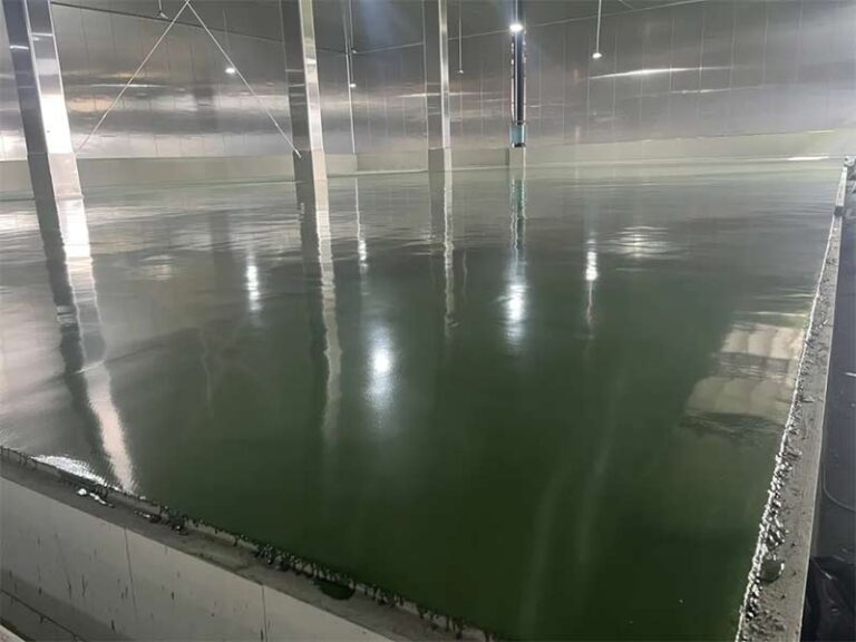 Pavimentazione per frutti di mare Superficie finita