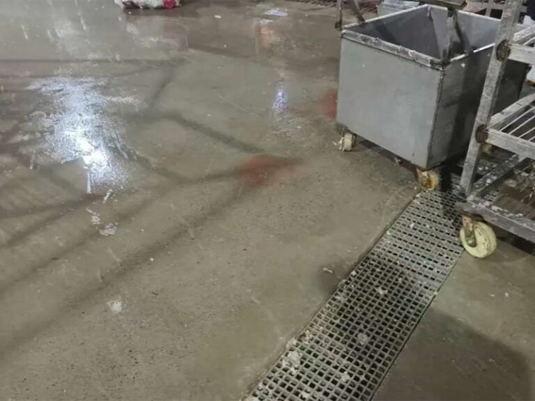 Difetti del pavimento della lavorazione del pesce Danni da umidità