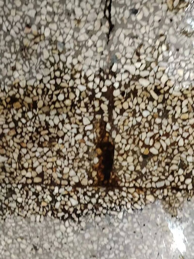 Worn terrazzo flooring in a meat processing plant, showing gaps where meat particles and debris accumulate, increasing bacterial growth risk.