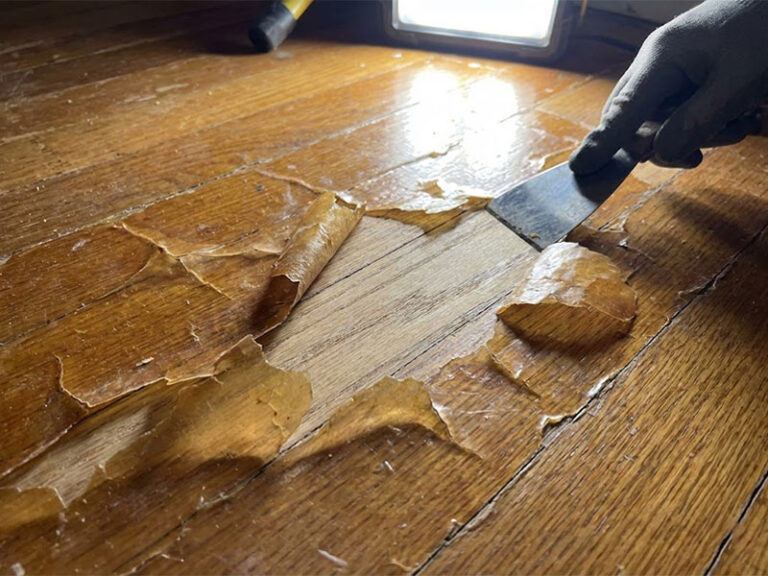 A close-up of a hardwood floor with a polyurethane finish peeling off dramatically, showing clear delamination, highlighting the need for repair.