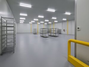 A large industrial walk-in freezer featuring seamless grey resin flooring, metal wire shelving units, and bright overhead lighting for a clean and hygienic cold storage environment.