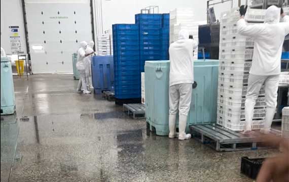 Before renovation: Standing water and drainage issues on the original floor of a seafood processing plant, creating hygiene risks.