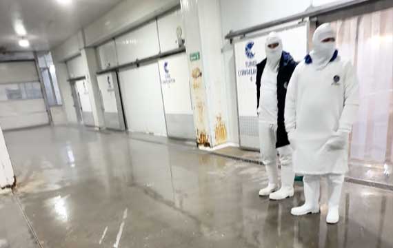 Industrial corridor in a seafood processing plant with visible ice on the floor, requiring specialized low-temperature polyurethane mortar.